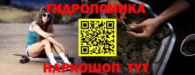 эйфоретик Будённовск