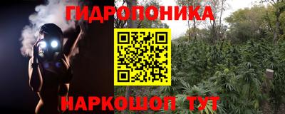 эйфоретик Будённовск