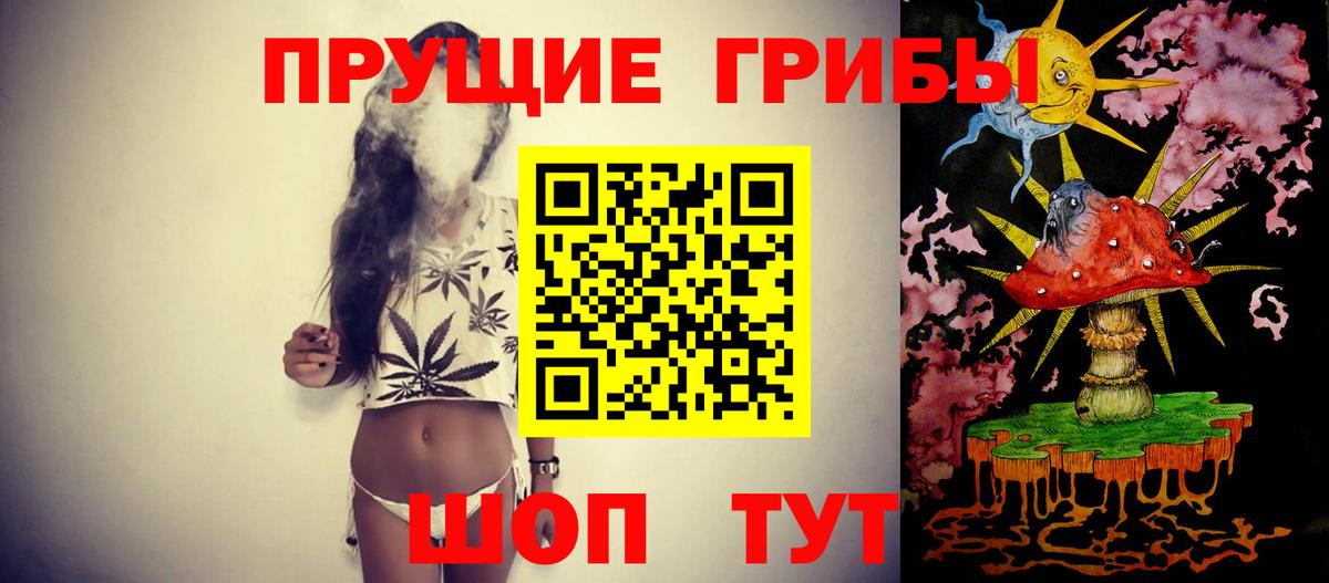 Псилоцибиновые грибы Psilocybe  Псилоцибиновые грибы Cubensis  Кулебаки  Вход с VPN 